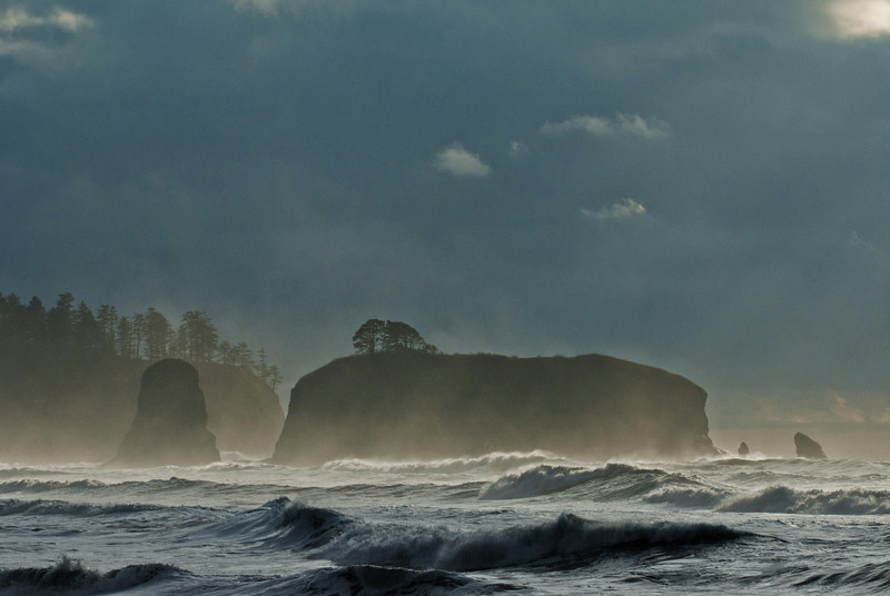 Sea stacks at La Push shrouded in golden storm mist with crashing waves