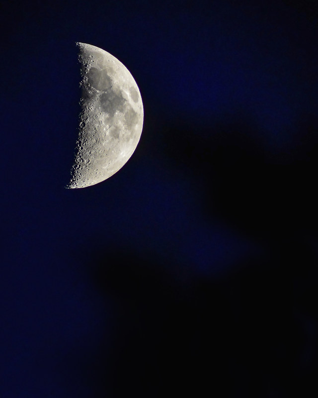 Quarter moon with sharp crater detail set against a rich deep blue twilight sky
